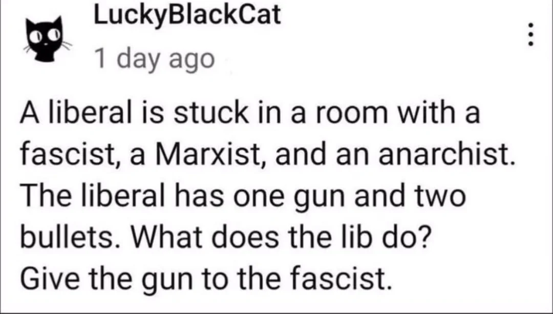 Microblock post from LuckyBlackCat: A liberal is stuck in a room with a fascist, a Marxist and an anarchist. The liberal has one gun and two bullets. What does the lib do? Give the gun to the fascist.